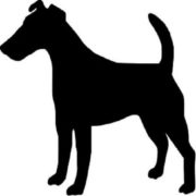 (c) Blackdogpestsolutions.co.uk