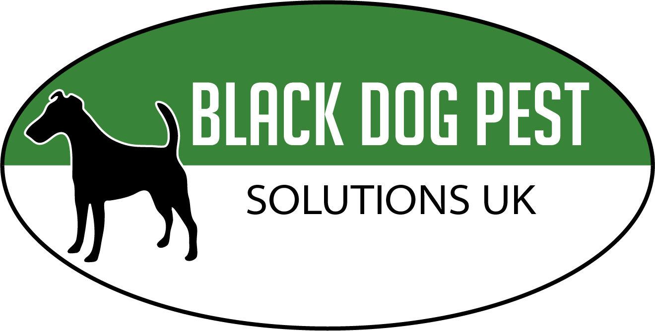 Black Dog Pest Solutions